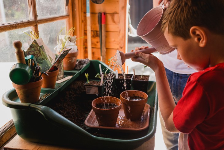 plant a seed-the bigger picture-PFP
