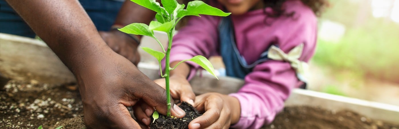 is having a baby eco friendly?