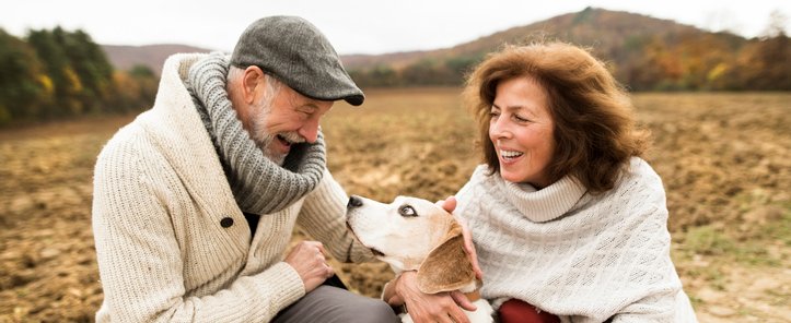 Pet-companion.jpg