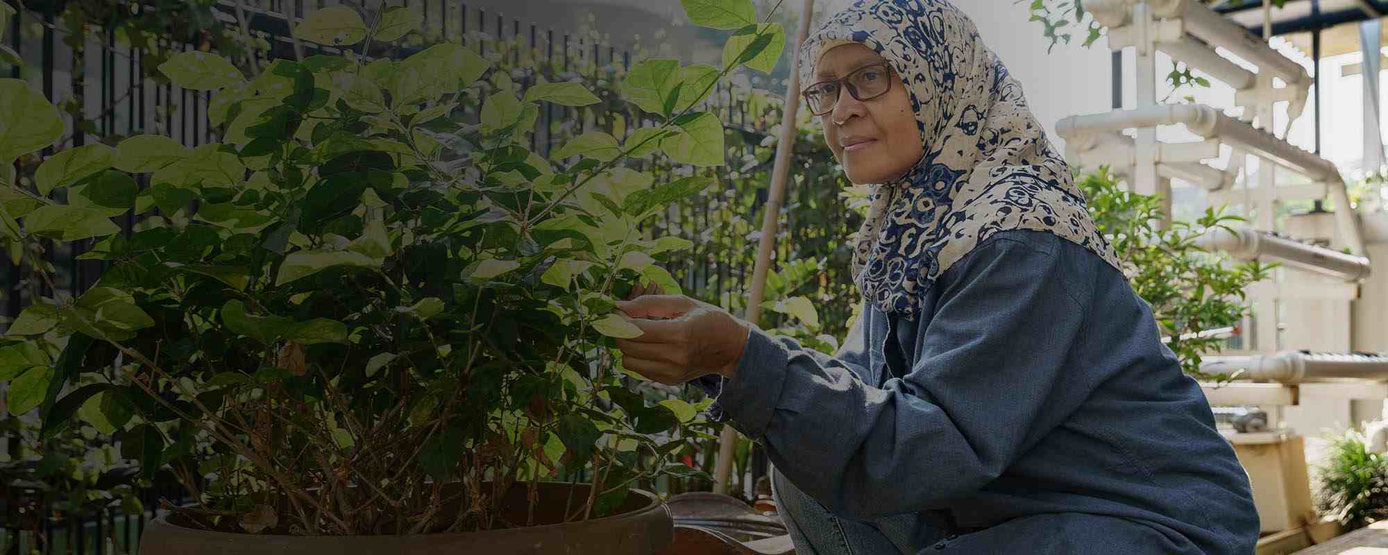 Lady gardening