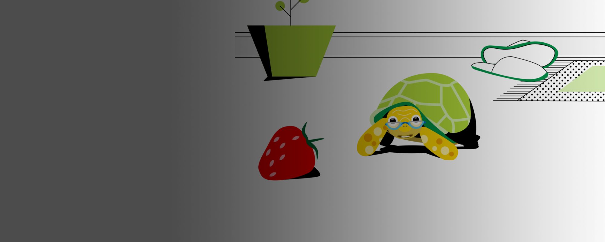 Tortoise and stawberry