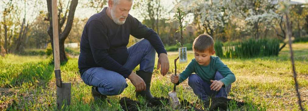sustainability-planting